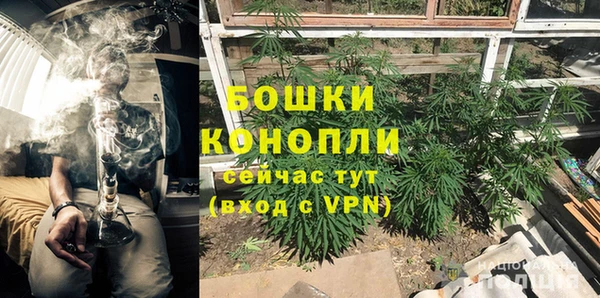 трава Алексин