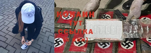 соль ск Алексеевка