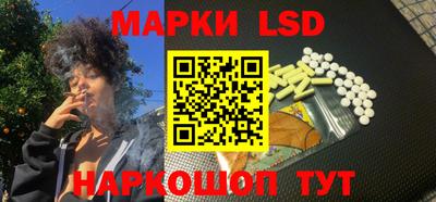тгк Новодвинск