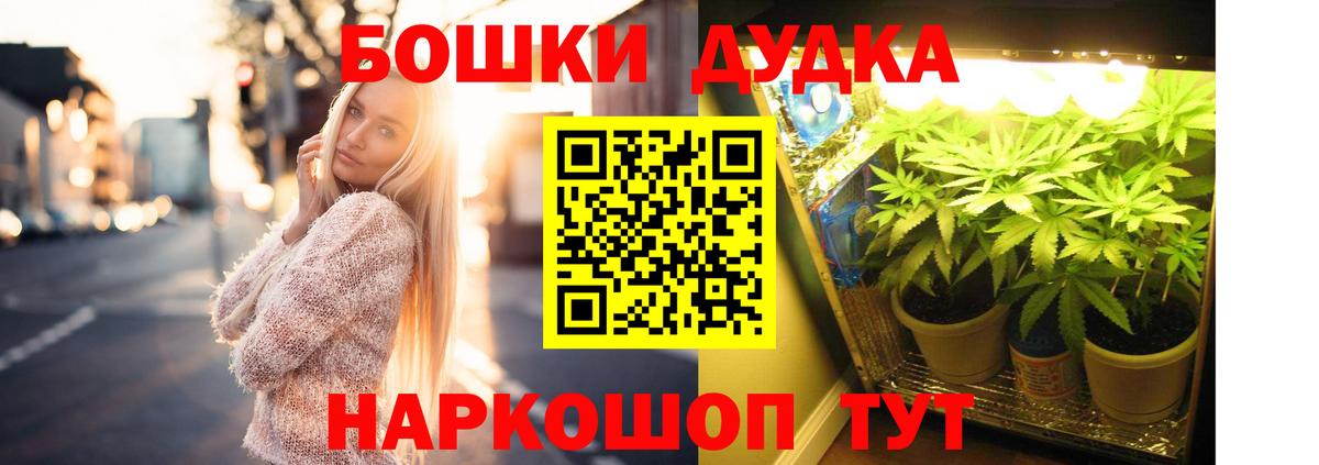 Конопля семена  Вход с VPN  Родники  Бошки Шишки Ganja  Шишки марихуана SATIVA & INDICA 